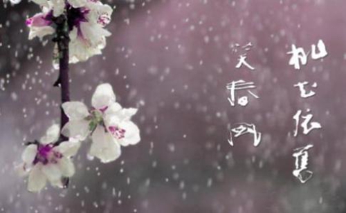 微信网名动物头像2