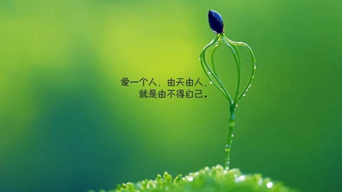 思念唯美伤感网名女生