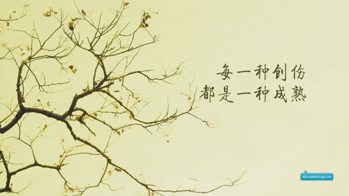 霸气拽姐网名格式