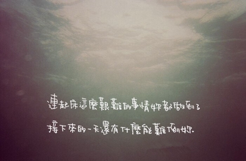 抖音网名懂珍惜是什么意思