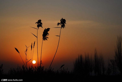女宝网名大全2022洋气