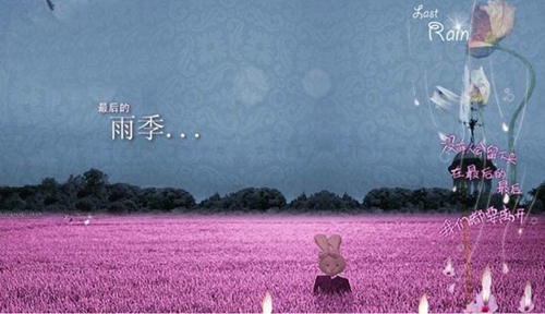 微博英文网名大全