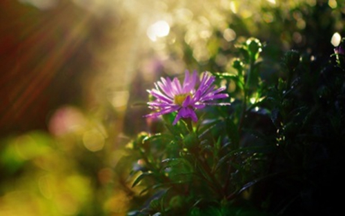 合适的抖音网名