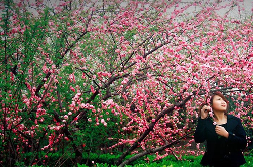 魏延的网名叫什么