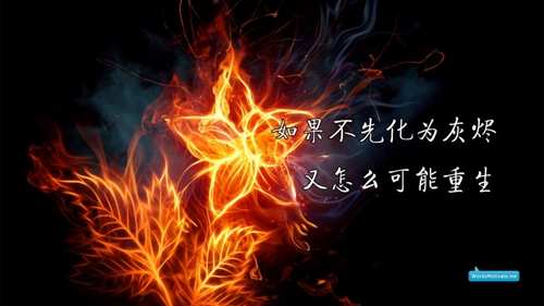 水果可爱网名大全