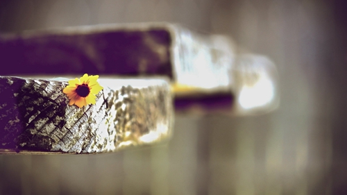 微信网名头像男生霸气超拽