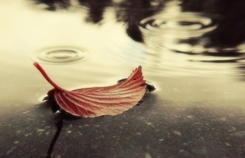 日语的网名女生伤感 日语的网名女生伤感