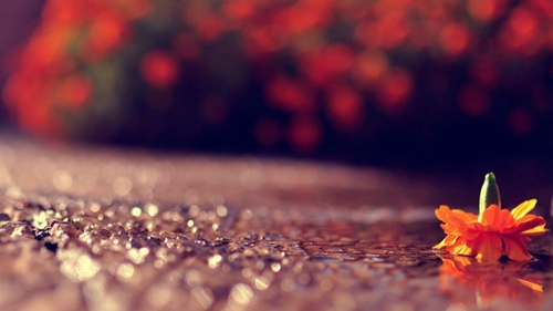 冷的伤感网名