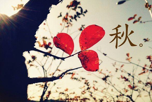 两字网名伤感心碎