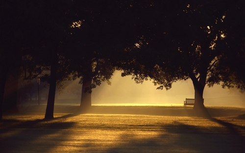 60岁女人微信昵称简单
