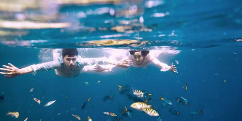 关于身体的游戏有哪些