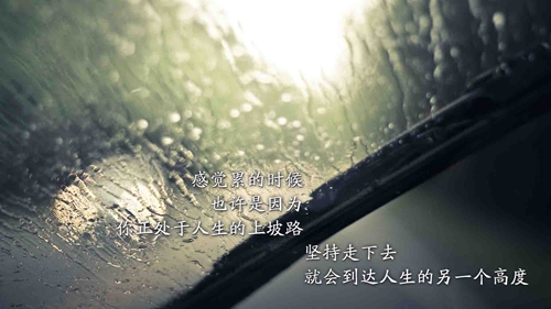 形容抖音的两字网名大全