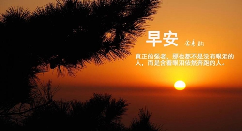 辛弃疾哪些词做网名