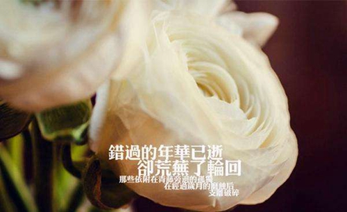 让人一看就知道是闺蜜的网名