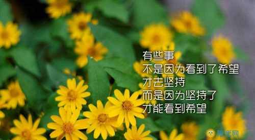 个性霸道超拽女生网名