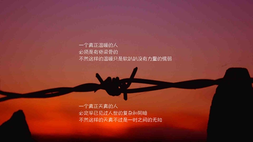 快手杜鹏网名