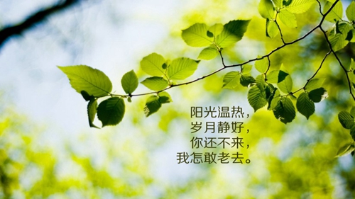 含有世界的男生网名两个字