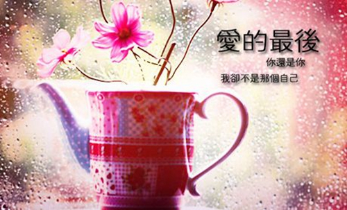 拒绝爱情四个字