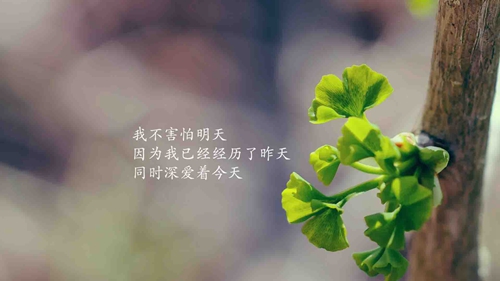 伤感的情侣名称 伤感的情侣名称