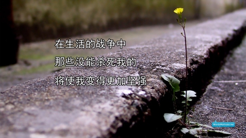 沙雕抖音网名男生霸气